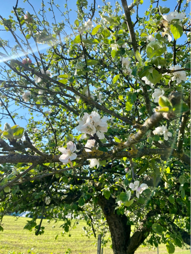 Wir sind alle verrückt
